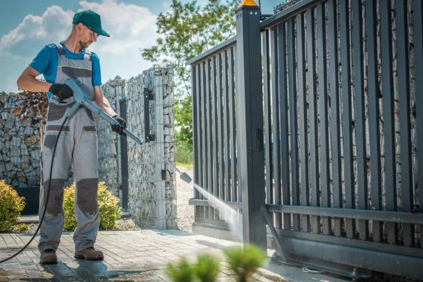 Best Building Exterior Washing  in Carpentersvle, IL