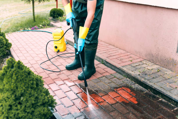 Best Pool Deck Cleaning  in Carpentersvle, IL