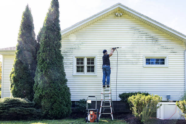 Reliable Carpentersville, IL Pressure Washing Services Solutions