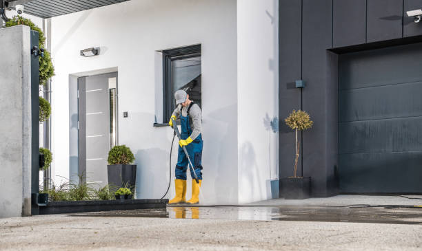 Best Sign and Awning Cleaning  in Carpentersvle, IL